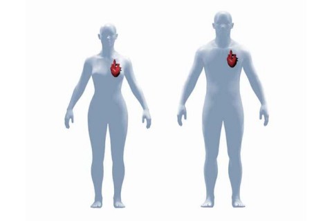 Being, and Organs