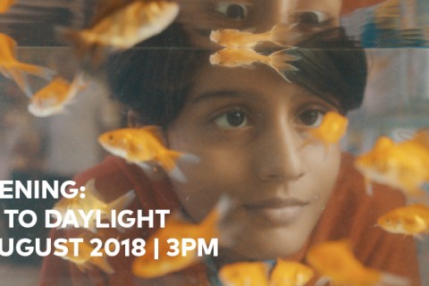 Film Screening: One Hour To Daylight