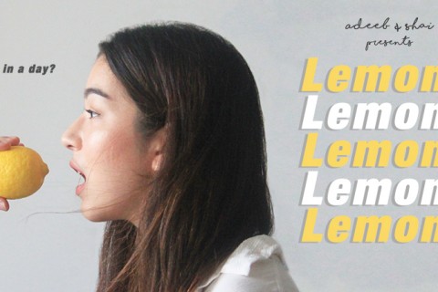 Lemons, Lemons, Lemons, Lemons, Lemons