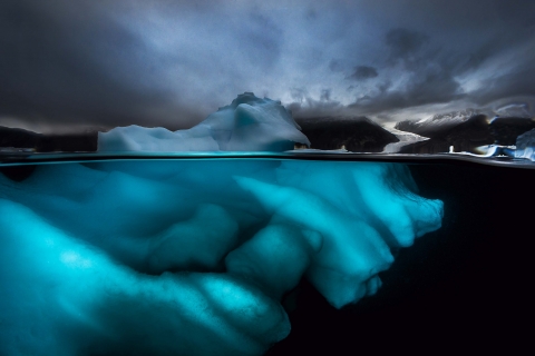 ION Art: Elysium Artists for the Arctic Exhibition