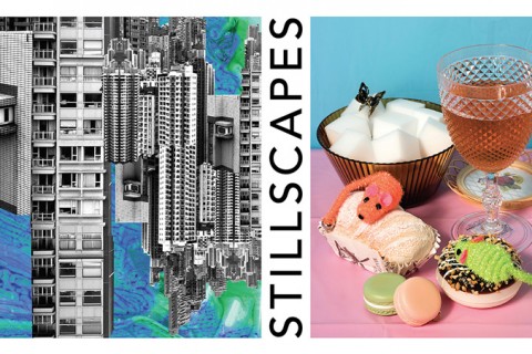 Art Workshop - What's Your Story? (based on the exhibition - Stillscapes)