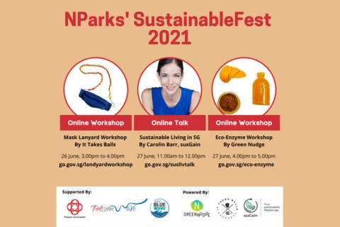 Sustainable Living in SG (Online Talk) susGain 
