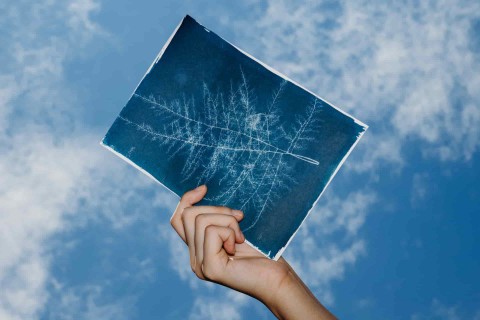 Cyanotype Class: Nature's Pleasures