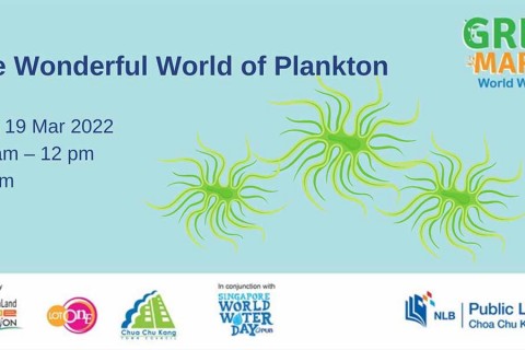 Green Market: The Wonderful World of Plankton