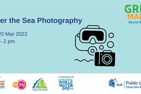 Green Market: Under the Sea Photography 