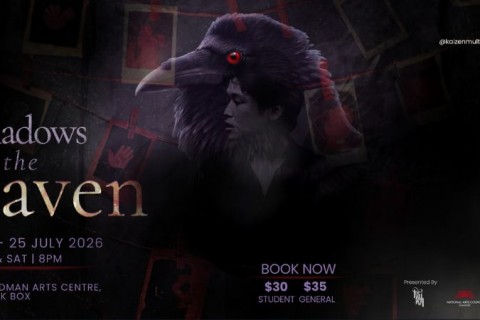 Shadows of The Raven