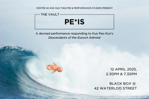 The Vault: PE*IS