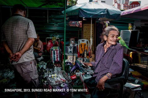 Art of Seeing: Photography Workshop 