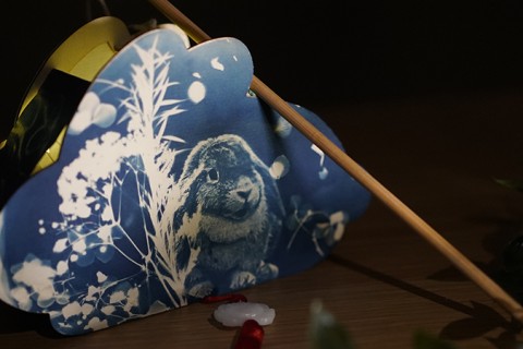 Cyanotype Lantern Workshop