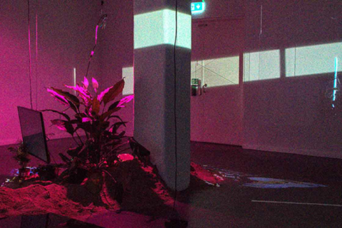 Phenomenology of Light and Rhythms of the Earth 