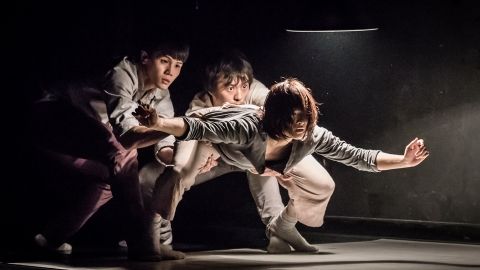 M1 CONTACT Contemporary Dance Festival 2016: T.H.E Dance Company Triple Bill – World Premiere