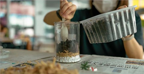 Build your own little portable forest 