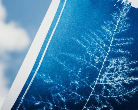 Cyanotype Class: Nature's Pleasures 
