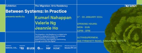 Between Systems: In Practice