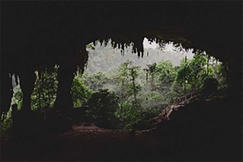REFUGE