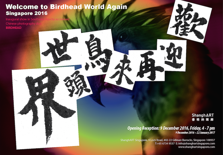 7-20161209-welcome-to-birdhead-world-again-singapore-2016.png