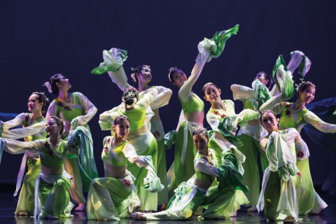 Revelry in Spring