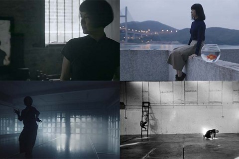 Cineda:ns – Hybrid Motion (2019)
