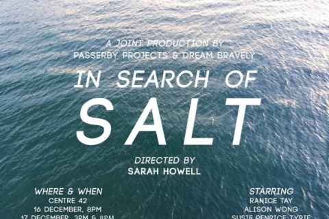 In Search of Salt