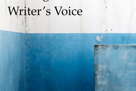Finding the Writer's Voice (Jul 2025)