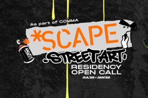 Street Art Residency