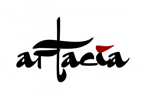 Open Call to all digital/new media artists in Asia: MasterCard Art Project