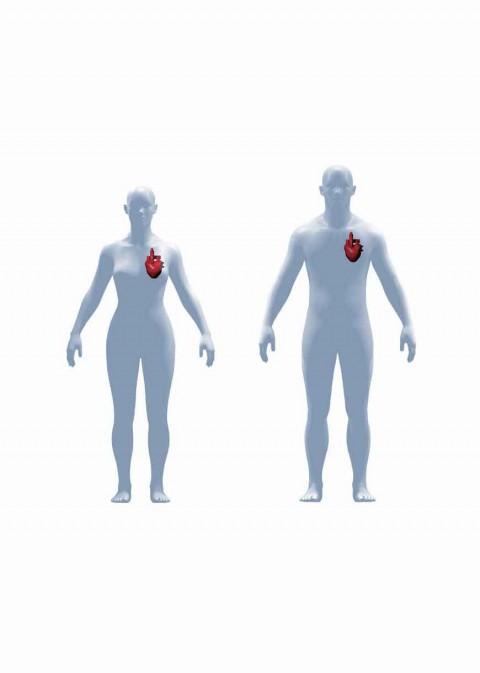 Being, and Organs