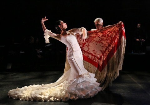 Flamenco Extravaganza, highlight of 5th Summer DanceFit Festival (2017)