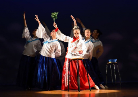 Community Arts Extravaganza, highlight of 5th Summer DanceFit Festival (2017)
