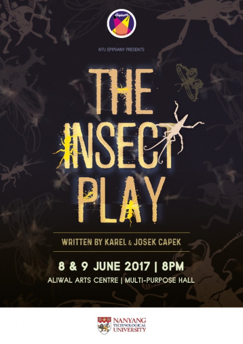 The Insect Play