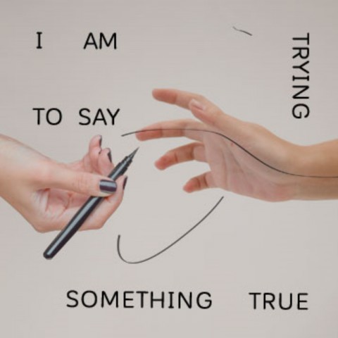 I am trying to say something true