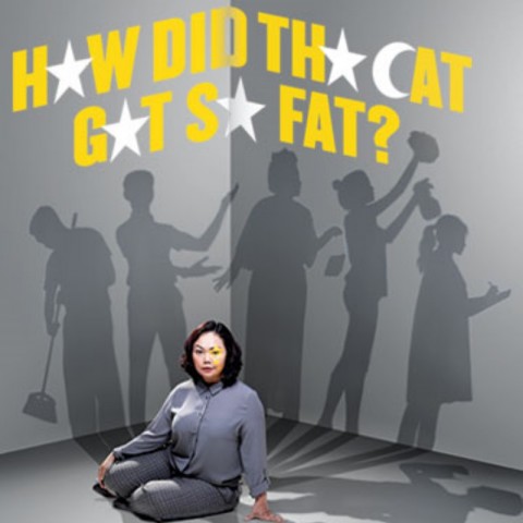 How Did The Cat Get So Fat?