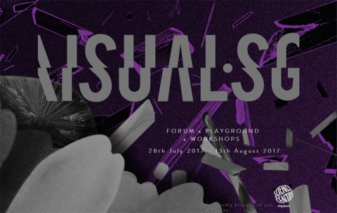 Visual SG