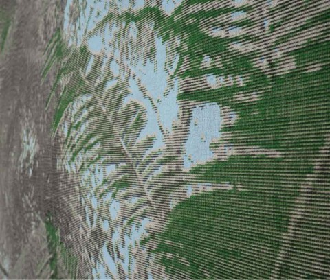 tropics, a many (con)sequence | an exhibition with Kent Chan