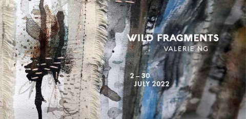 Wild Fragments