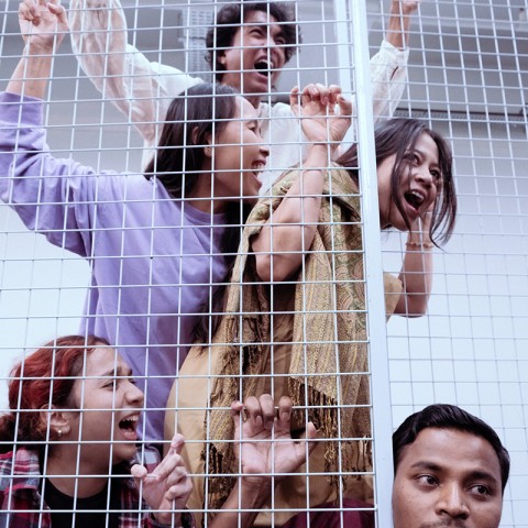 The Troupe