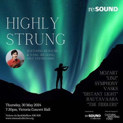 Highly Strung, by re:Sound