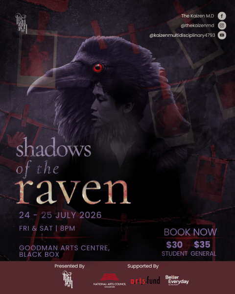 Shadows of The Raven