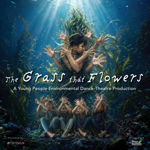 The Grass That Flowers — A Young People Environmental Dance-Theatre Production 