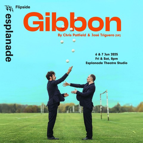 Flipside 2025: Gibbon