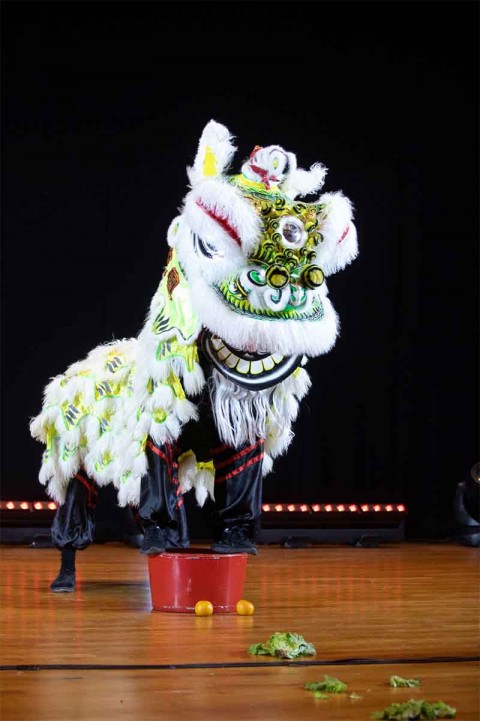 Lion Dance Performance