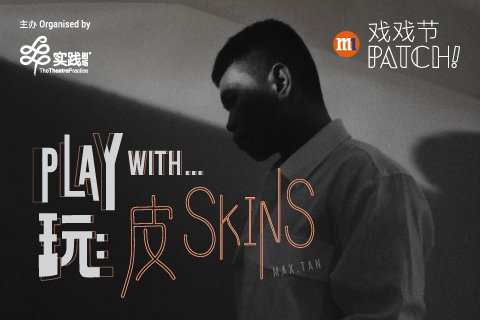 Play With... Skins