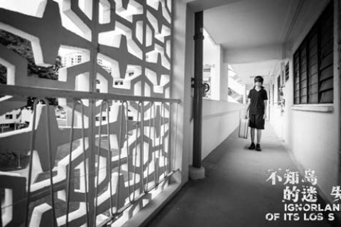 IgnorLAND of its Loss 《不知岛的迷失》