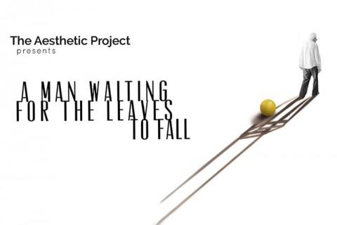 A man waiting for the leaves to fall