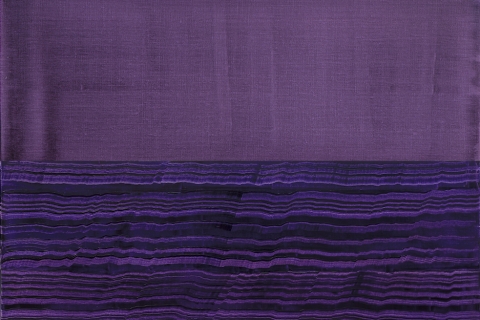 Opening Reception with the Artist, Ricardo Mazal: Violeta + Bhutan 