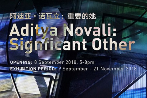 Aditya Novali: Significant Other