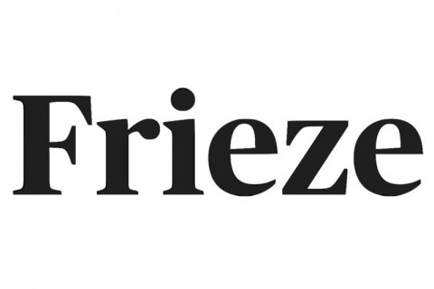 Frieze Academy Series Public vs. Private Museums: Bridging the Divide? 