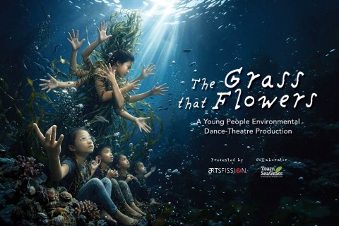 The Grass That Flowers — A Young People Environmental Dance-Theatre Production 