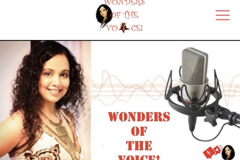 Wonders of the Voice - Beginner's Guide