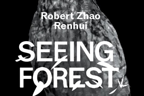 Seeing Forest